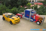 DOTM Bumblebee Leader (4)